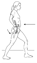 Fencer's Position Stretch