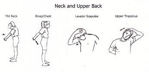 Photo of Neck and back stretches