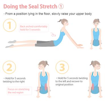 Photo of Seal Stretch