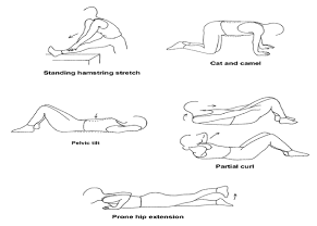 Example for Stretching Low Back Muscles